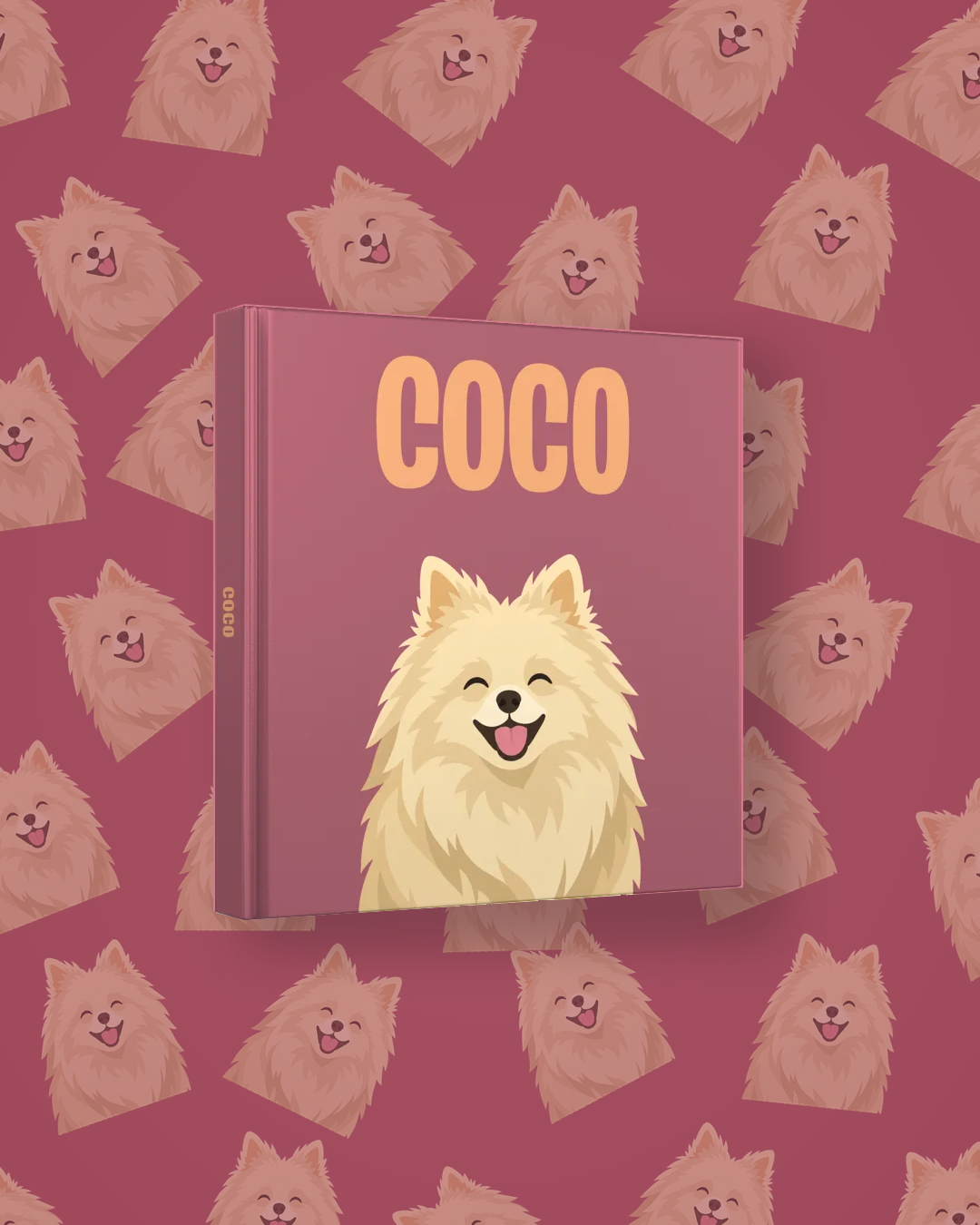 Pomeranian Champagner — image 4