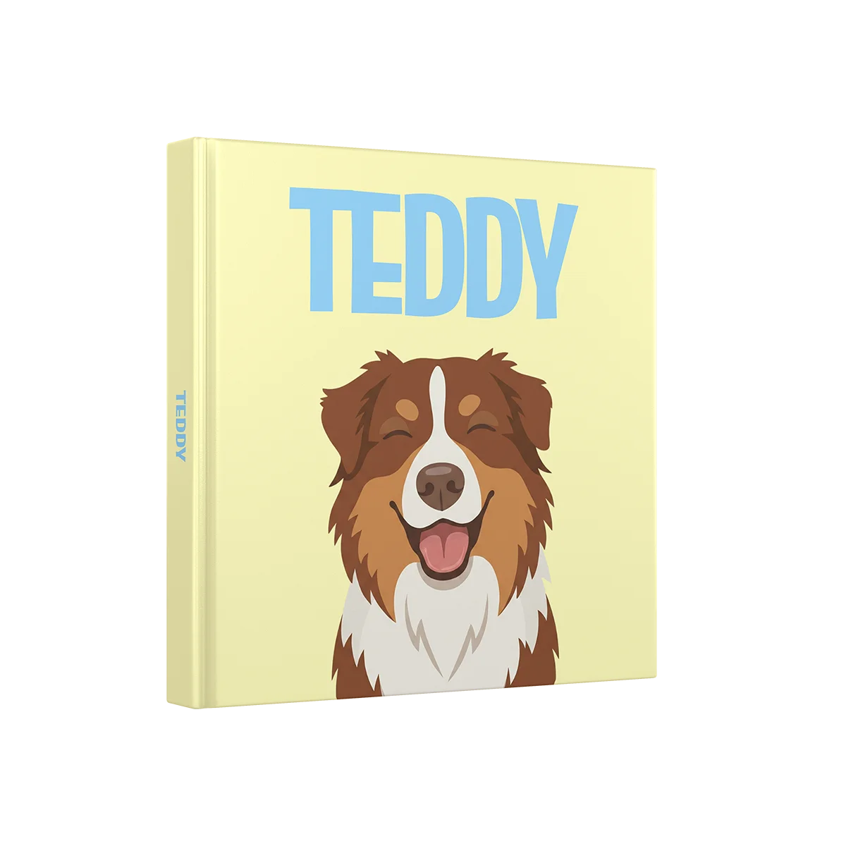Australian Shepherd 1