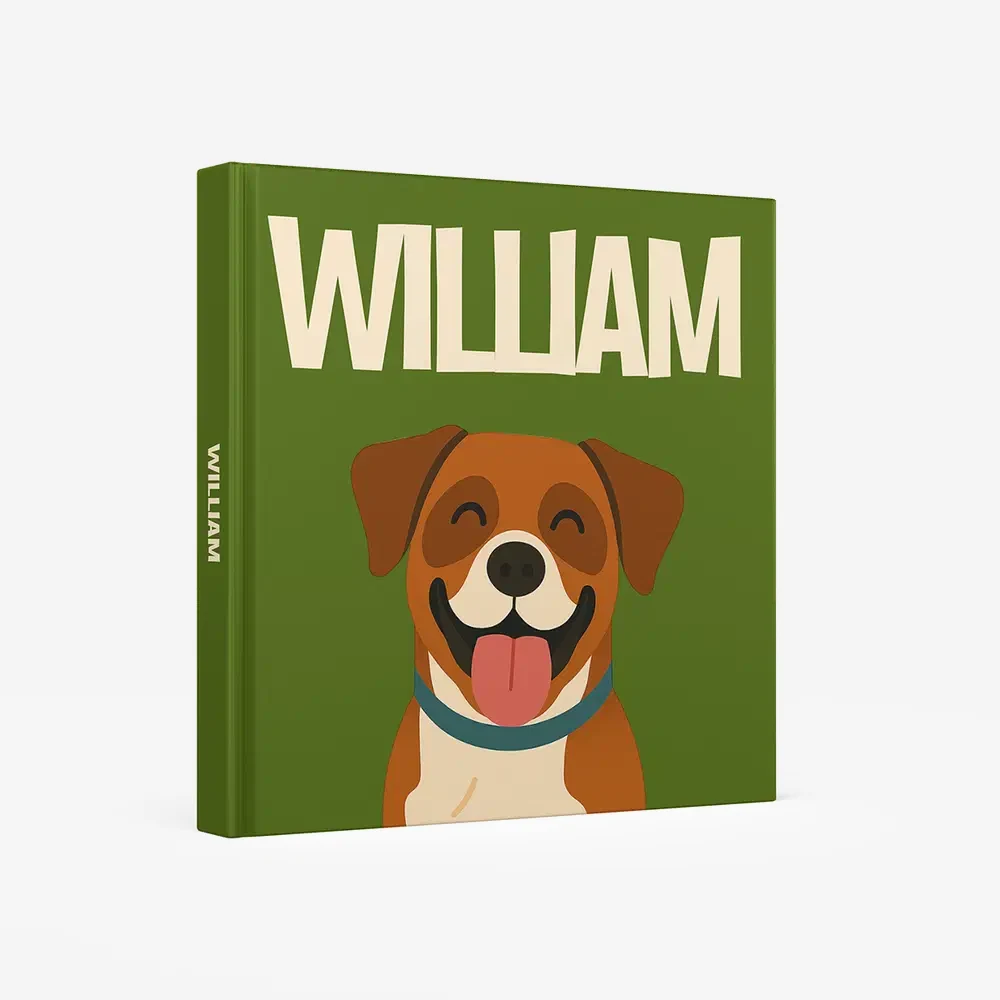 Boxer — image 1
