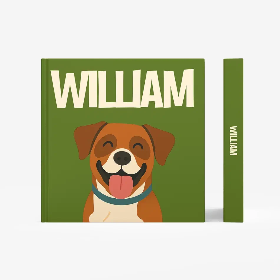 Boxer — image 3