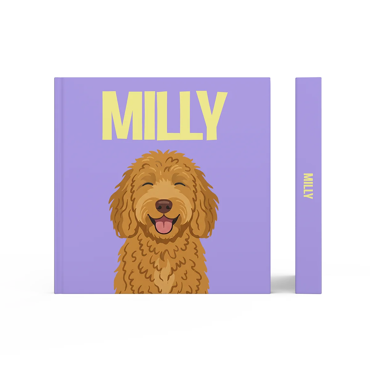 Labradoodle Gold 1 — image 3