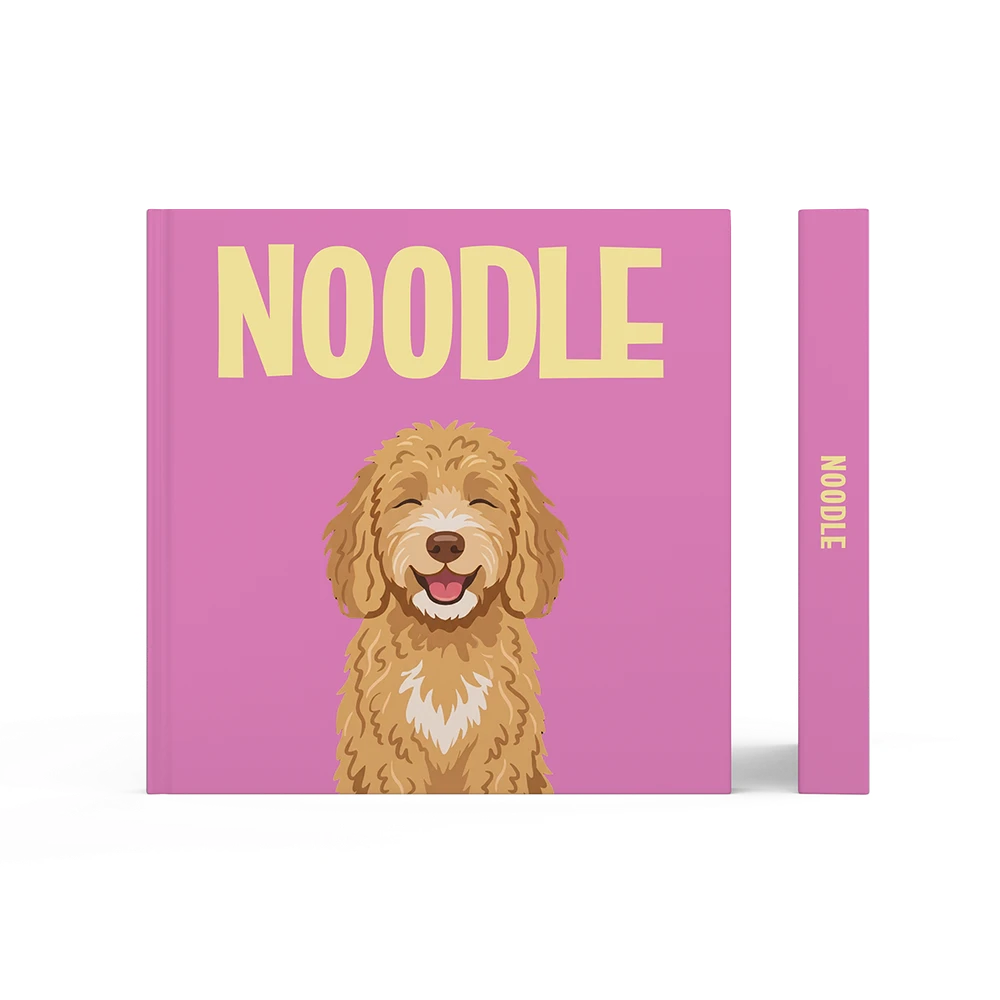 Labradoodle Gold — image 3