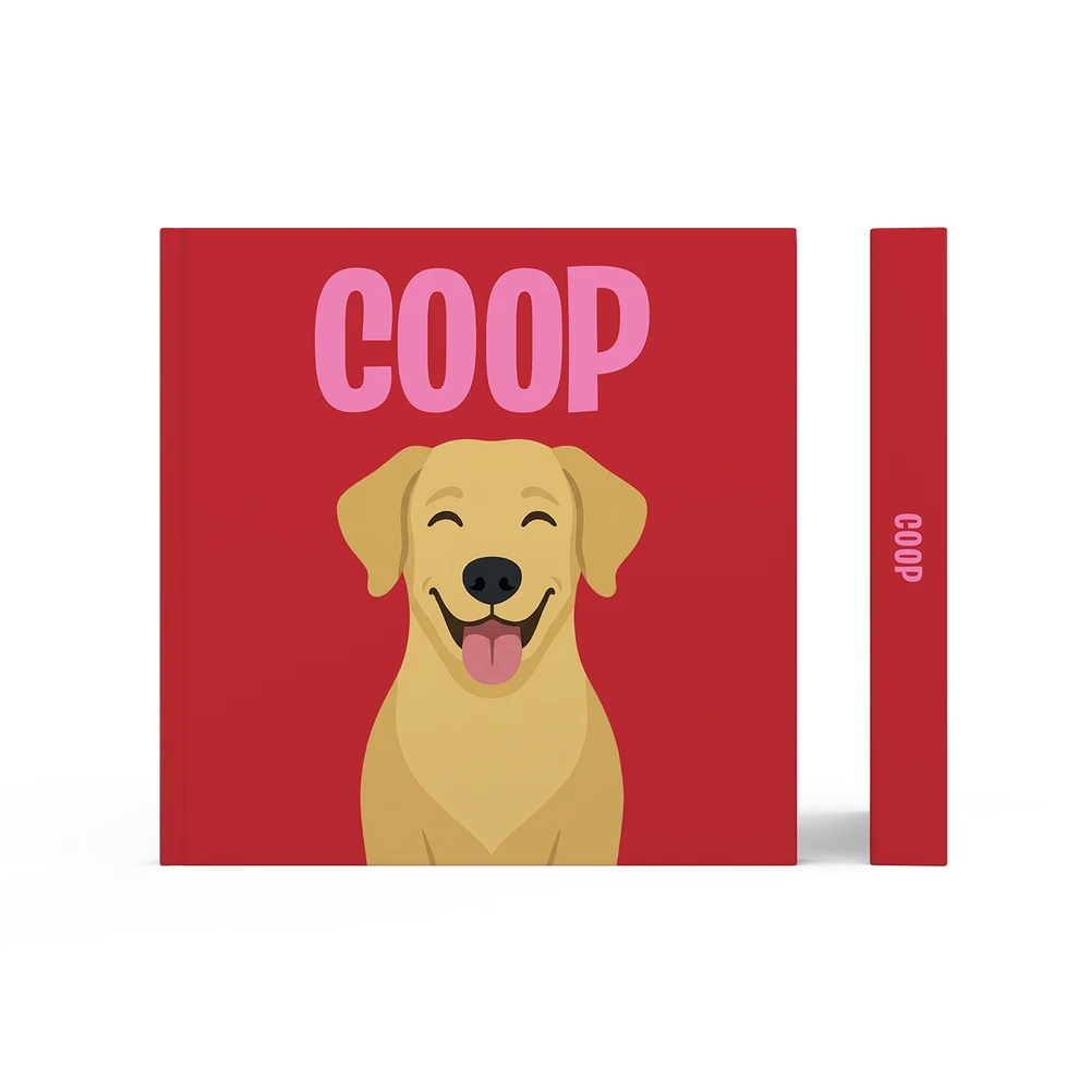 Labrador Gold — image 3