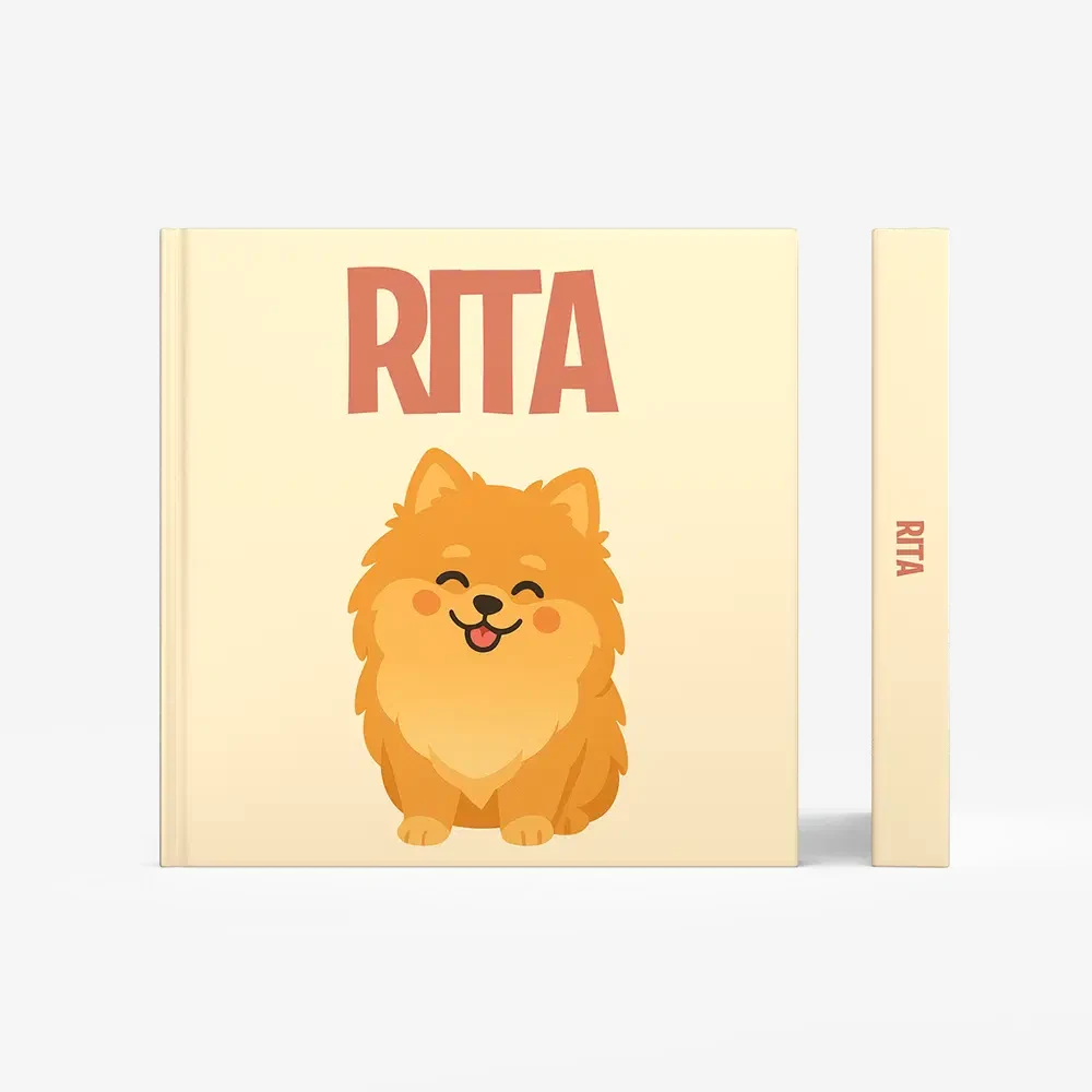 Pomeranian — image 3