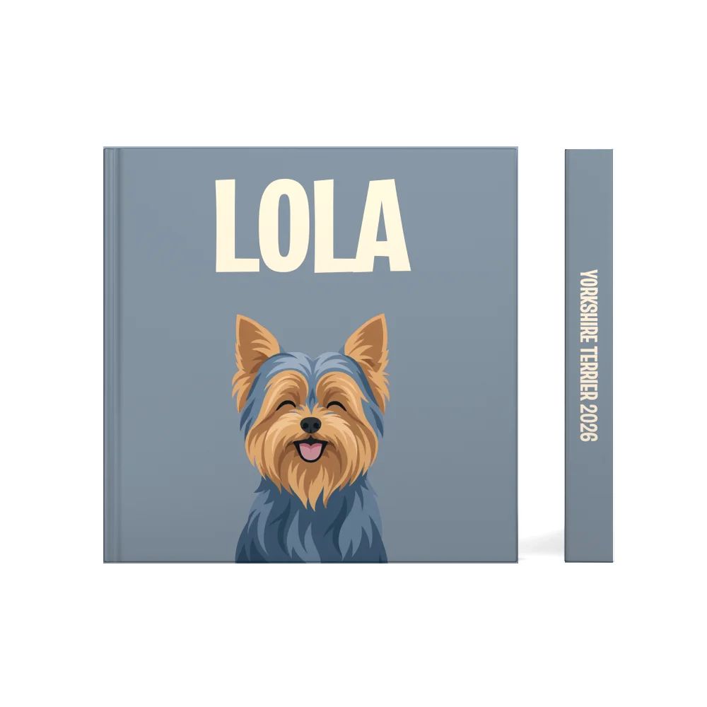 Yorkshire Terrier — image 2